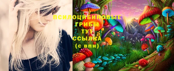 apvp Алексеевка