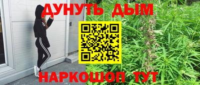 сатива Лесосибирск