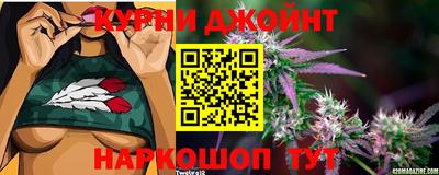 сатива Лесосибирск