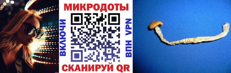 гидра сайт  Дзержинский  Псилоцибиновые грибы GOLDEN TEACHER 