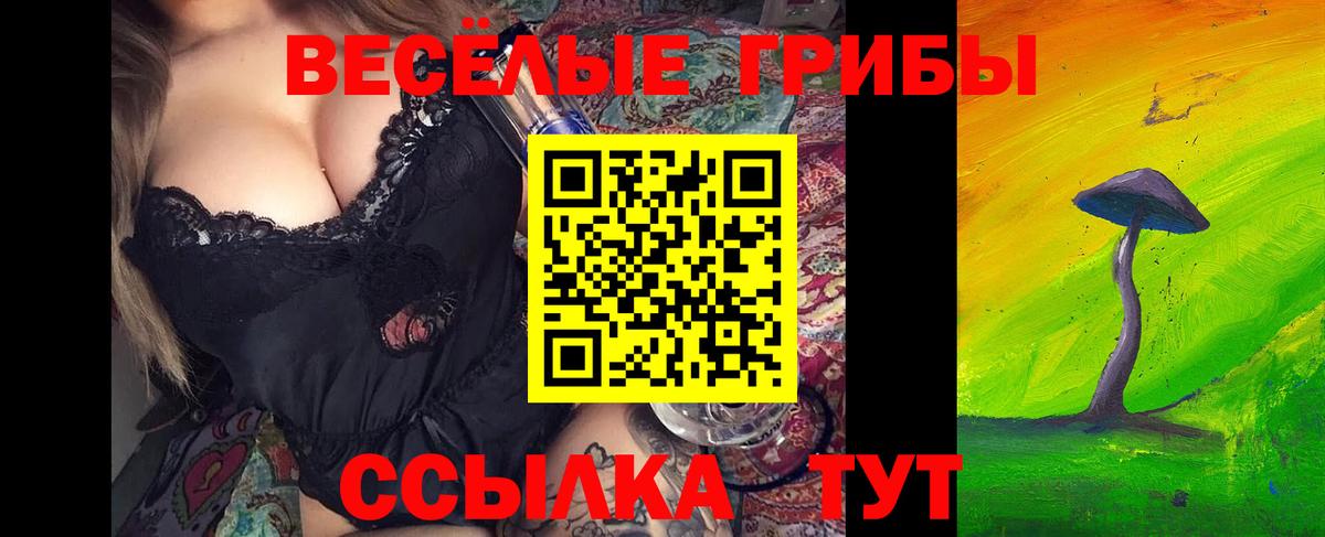цена   Галлюциногенные грибы прущие грибы  Вход с VPN  Дзержинский  Псилоцибиновые грибы Psilocybe 